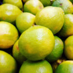 Printscreen Instagram/caterite