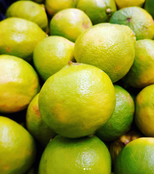 Printscreen Instagram/caterite