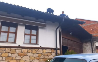 UDARNA VEST! VELIKI HAOS U HOČI! KAMION DOŠAO DA ZAPLENI SRPSKO VINO! VLASNIK PRETI DA ĆE SKOČITI SA KROVA (VIDEO)