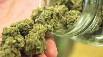 NOVI BEOGRAD: Policija zaplenila 15 kilograma marihuane, uhapšena jedna osoba!
