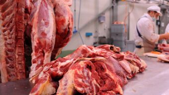Istraživanje “Landgeist Mapa”: Građani BiH jedu najmanje mesa