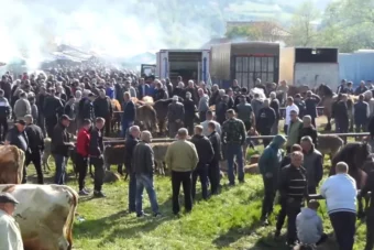 Vašar u Turbetu privukao hiljade ljudi: Trebao sam u Tursku na ekskurziju, ali sam ostao na derneku (VIDEO)