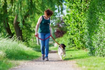 Tri savjeta koja vam mogu pomoći da usavršite šetnju sa psom