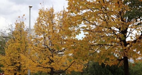 foto: Facebook