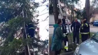 ZANIMLJIVA INTERVENCIJA: Banjalučki vatrogasci spasili su…