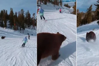 Pogledajte kako je skijaš na stazi izbjegao sudar s medvjedom