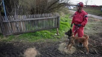 Policija došla do novih saznanja! Spasilački timovi sa psima pretražuju teren u BANJSKOM POLJU