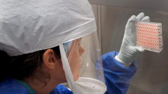 Svjetska zdravstvena organizacija zabrinuta: Ptičija gripa može izazvati novu pandemiju