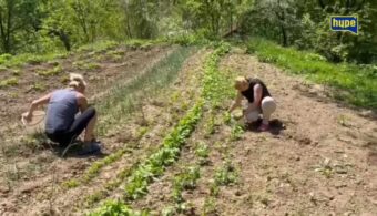 ŽIVOT SA DVIJE ŽENE Elmedin: Jest’ lijepo kad natjeraš žene da rade! RED, RAD I DISCIPLINA SU PUT DO USPJEHA (VIDEO)