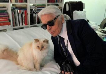 Kako Lagerfeldova mačka troši naslijeđene milione: Šapet uživa “za sve pare”