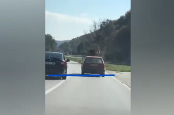 Dokle više?! Novi slučaj nasilja nad životinjama u BiH usijao društvene mreže (VIDEO)