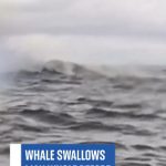 Printskrin/Instagram