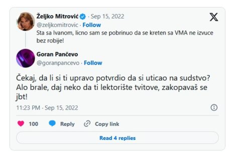 ŽELJKO MITROVIĆ UTICAO NA SUDSTVO NAKON NJENE SMRTI?/Photo: Hypetv.rs