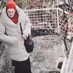 Nestala Fata Grcić. Screenshot