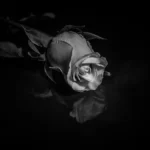 Umro Dejan Matić/Photo: Ilustracija