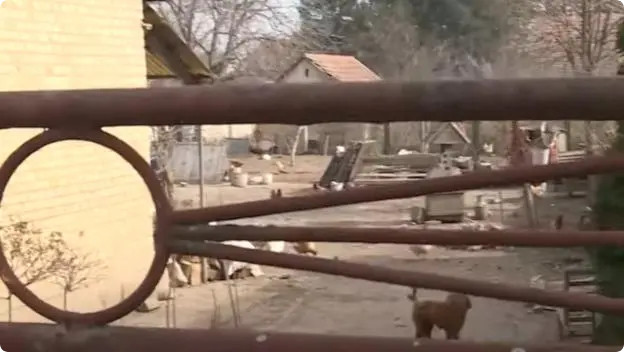 OVO JE RODNA KUĆA ALEKSANDRE NIKOLIĆ/Photo: Printscreen