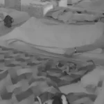 Ena više ni ne pomišlja na Peju/Photo: Printscreen