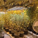 Otkrivamo identitet trojca koji je uhapšen/Photo: MUP KS