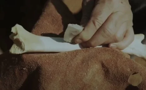 Novi uvid u rituale plemena / Photo: Printscreen