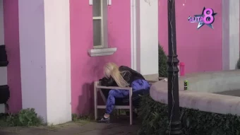 Samo konkretizacija: Zola postavio uslove Matei, bacili se na stras*vene polju*ce!