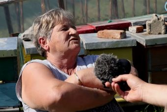 Šahza Rešić pretu*la svekra kako bi spasIa svekrvu i postala legenda sela Repuh kod Živinica: “Volim da izud*ram muškarca, duša mi je…”(VIDEO)