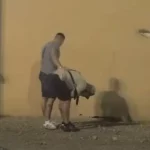 Je*ivi jecaji odzvanjaju imanjem