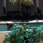 PRODUKCIJA OBJAVILA EKS*LICITNE SCENE UČESNIKA RIJALITIJA