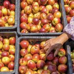 Ljetna vitaminska bomba za zdravlje