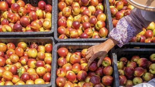 Ljetna vitaminska bomba za zdravlje