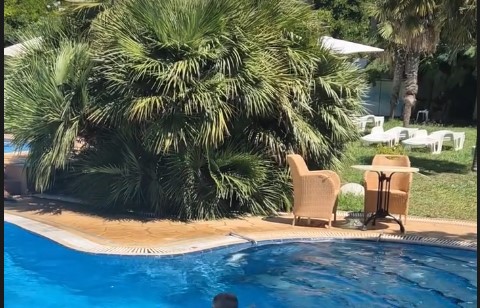 EVO GDJE SE KRIJE I ŠTA RADI MILJANA KULIĆ!