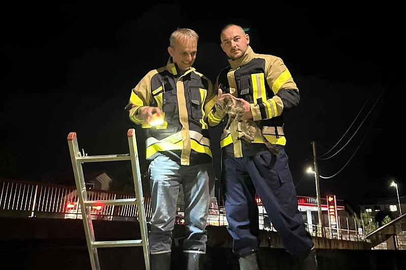 Vatrogasci s Ilidže spasili zaglavljeno mače