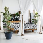 Ove biljke u vašem domu mogu rashladiti