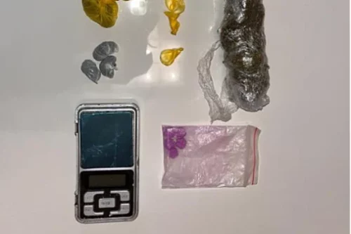 Uhapšena dvojica muškaraca zbog trgovine nar*oticima!