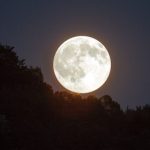 Sutra je pun Mjesec