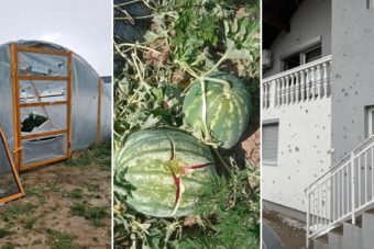 Velike štete u Posavini: Plastenici probijeni, lubenice razbijene – led “polupao” usjeve