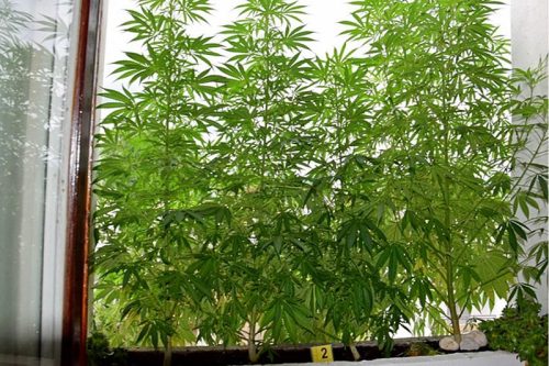 U Sarajevu uhapšen 62-godišnjak