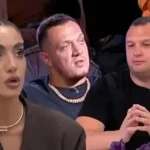 Pavle, ti si jedan miš!