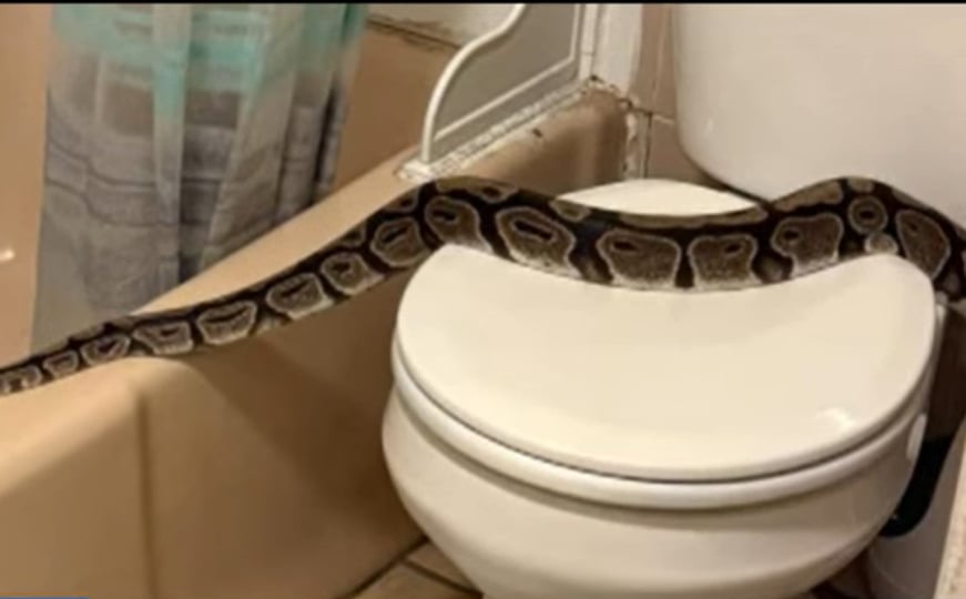 Nesvakidašnji incident