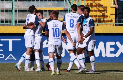 Nezapamćena krađa na Pecari! 