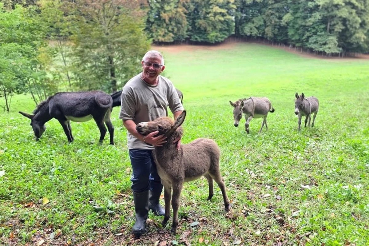 Uzgoj magaraca u BiH sve popularniji