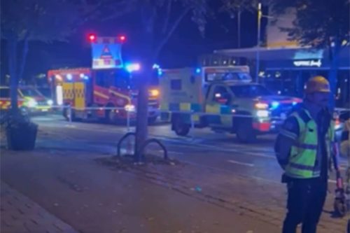 Strava i užas Foto: Printscreen/X