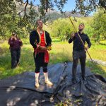 Otvoreni "Dani berbe maslina u Hercegovini"!