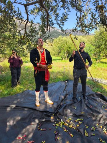 Otvoreni "Dani berbe maslina u Hercegovini"!