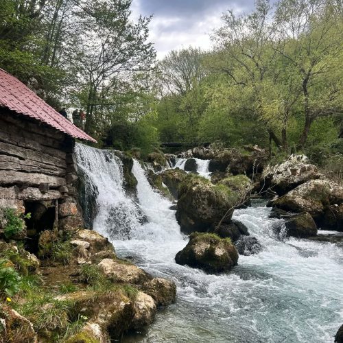 Globalno priznanje za Bosnu i Hercegovinu!