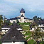 Policijska akcija protiv migrantskih bandi iz Afganistanana!