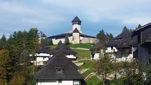 Policijska akcija protiv migrantskih bandi iz Afganistanana!