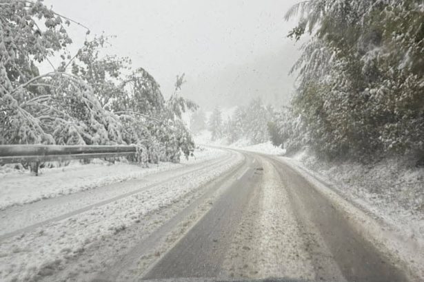 Zbog obilnih snježnih padavina u potpunosti obustavljen saobraćaj na dionici Foča - Trnovo!