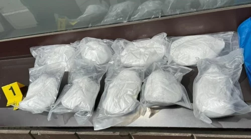 Državljanka Srbije uhapšena u stanu punom droge