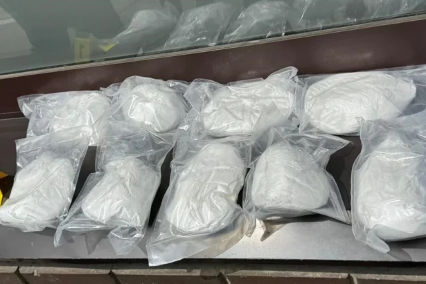 Državljanka Srbije uhapšena u stanu punom droge