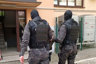 Horor u Živinicama!